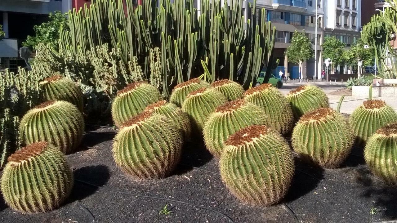 Appartamento Al Golpito Las Palmas de Gran Canaria Esterno foto
